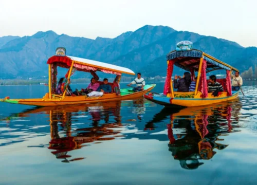 Kashmir Honeymoon Package for 6 Nights 7 Days