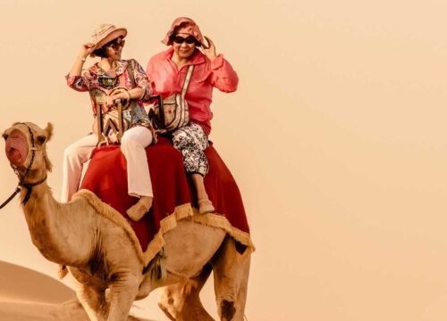 8 Nights Dubai Package with Dubai Dolphinarium